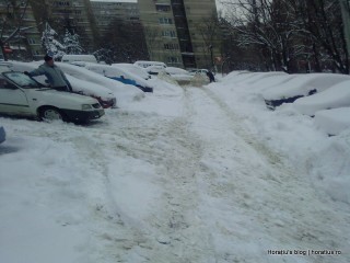 aleea din centrul parcării