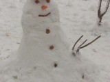 Frosty Smiley - The SnowMan