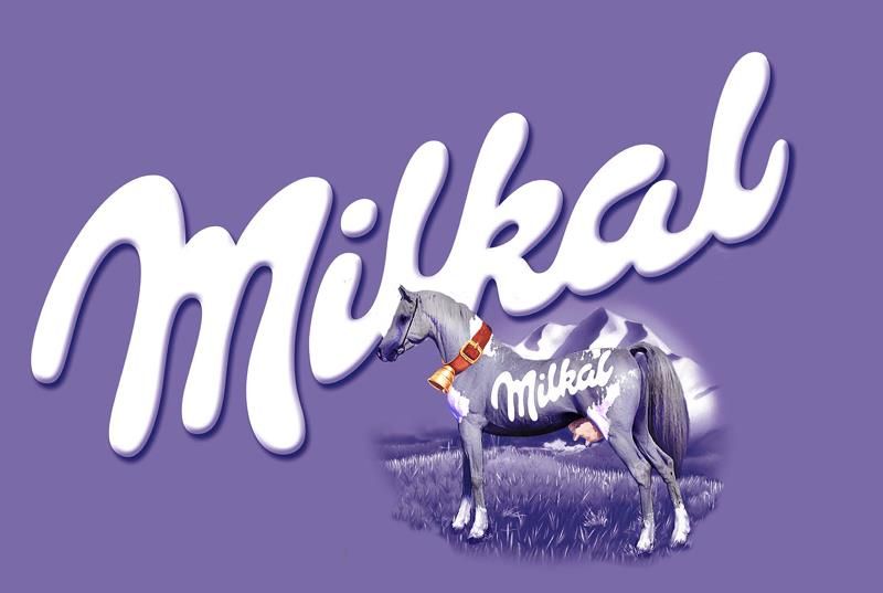 milkal chocolate
